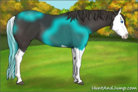Horse Color:Smoky Black Splash 