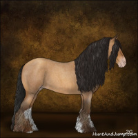 Horse Color:Gray Amber Champagne Roan 