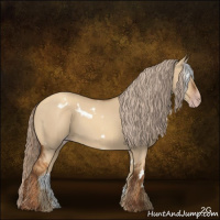 Horse Color:Gray White Spotted Gold Champagne Dun