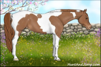 Horse Color:Red Roan Tobiano Varnish
