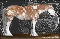 Horse Color:Bay Sabino Rabicano