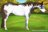 Horse Color:Liver Red Ice Roan Sabino Frame Rabicano