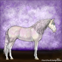 Horse Color:White Spotted Gold Cream Champagne Ice Dun Mushroom Splash Appaloosa Brindle 