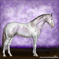 Horse Color:White Spotted Red Onyx Ice Tobiano