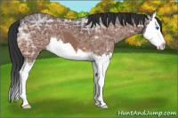 Horse Color:Bay Ice Splash 