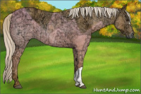 Horse Color:Palomino Ice 