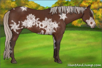 Horse Color:Silver Brown Ice 