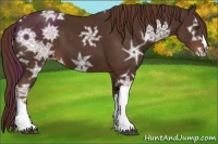 Horse Color:Liver Chestnut Ice 