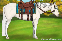 Horse Color:Silver Perlino Dun Tobiano 