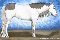 Horse Color:Silver Blue Roan Sabino Splash Rabicano 