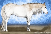 Horse Color:White Spotted Silver Smoky Black Sabino Rabicano