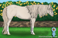 Horse Color:Smoky Creme Sabino Splash Rabicano