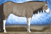 Horse Color:Smoky Grullo Sabino Rabicano