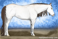 Horse Color:White Spotted Amber Champagne