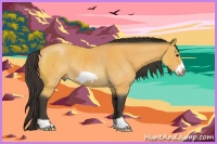 Horse Color:Buckskin Roan Frame Rabicano