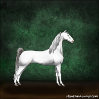 Horse Color:Liver Red Dun Onyx Sabino Appaloosa Brindle