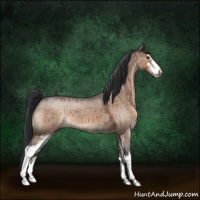 Horse Color:Brown Roan Dun Sabino 