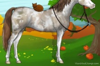 Horse Color:White Spotted Liver Red Dun Ice Pearl Sabino 