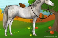 Horse Color:Liver Red Dun Ice Pearl Sabino Rabicano 