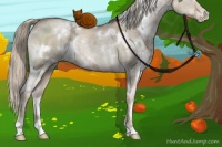 Horse Color:White Spotted Liver Red Dun Ice Pearl 