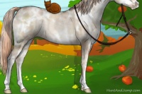 Horse Color:White Spotted Liver Red Dun Ice Pearl Sabino 