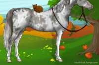 Horse Color:White Spotted Liver Red Dun Ice