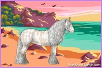 Horse Color:Cremello Sabino Appaloosa