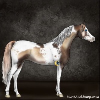 Horse Color:Liver Red Onyx Splash Tobiano Rabicano