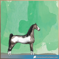 Horse Color:Brown Dun Frame Brindle 
