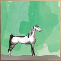 Horse Color:Brown Dun Frame Brindle