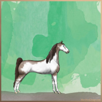 Horse Color:Liver Red Dun Sabino Frame Brindle 