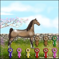 Horse Color:Buckskin Dun Sabino Appaloosa Brindle