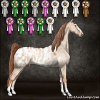 Horse Color:Gold Champagne Dun Sabino Appaloosa