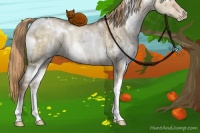 Horse Color:White Spotted Liver Red Dun Ice Pearl Rabicano