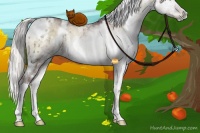 Horse Color:White Spotted Chocolate Silver Smoky Grullo Chinchilla Ice Onyx 