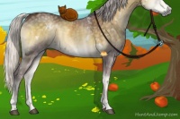 Horse Color:White Spotted Chocolate Silver Smoky Blue Onyx Chinchilla Brindle 