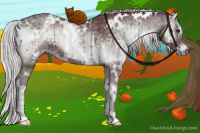 Horse Color:White Spotted Chocolate Silver Blue Onyx Chinchilla