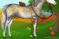Horse Color:Chocolate Silver Smoky Blue Onyx Chinchilla Sabino