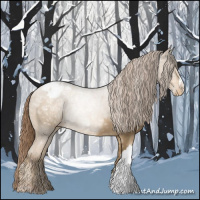 Horse Color:Smoky Black Ice Pearl Appaloosa 