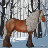 Horse Color:Silver Brown