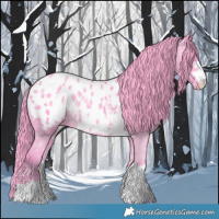 Horse Color:Watercolor Black Ice Appaloosa Rabicano 