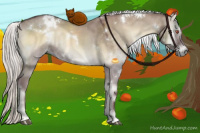 Horse Color:White Spotted Chocolate Silver Smoky Grullo Chinchilla Onyx