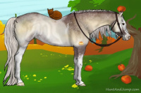 Horse Color:White Spotted Chocolate Silver Smoky Blue Onyx Chinchilla Sabino