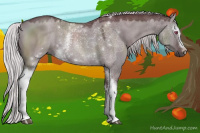 Horse Color:White Spotted Chocolate Silver Grullo Chinchilla