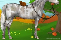 Horse Color:White Spotted Liver Red Dun Ice 