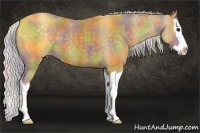 Horse Color:Nacre Silver Smoky Black Sabino Splash 