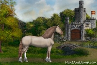 Horse Color:Liver Red Dun Roan 
