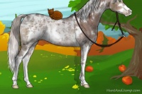 Horse Color:White Spotted Silver Brown Ice Sabino Rabicano 
