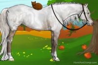 Horse Color:White Spotted Silver Buckskin Ice Rabicano 