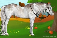 Horse Color:White Spotted Silver Brown Dun Sabino Splash Rabicano